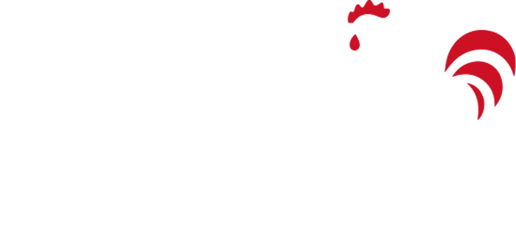 Falcon
